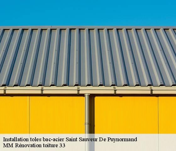 Installation toles bac-acier  saint-sauveur-de-puynormand-33660 MM Rénovation toiture 33