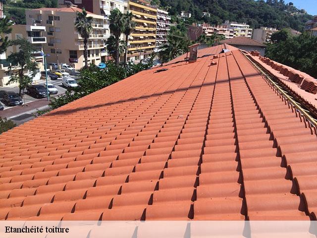 Etanchéité toiture  camblanes-et-meynac-33360 MM Rénovation toiture 33